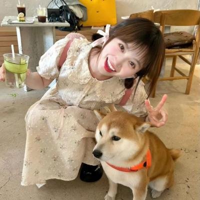 亲密访客 海报